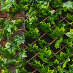 Apollo Maple Leaf Willow Trellis Panel (W)200cm X (H)100cm 7 Apollo Maple Leaf Willow Trellis Panel (W)200cm X (H)100cm -Hozelock Shop apollo maple leaf willow trellis panel w 200cm x h 100cm5037653779309 02i bq