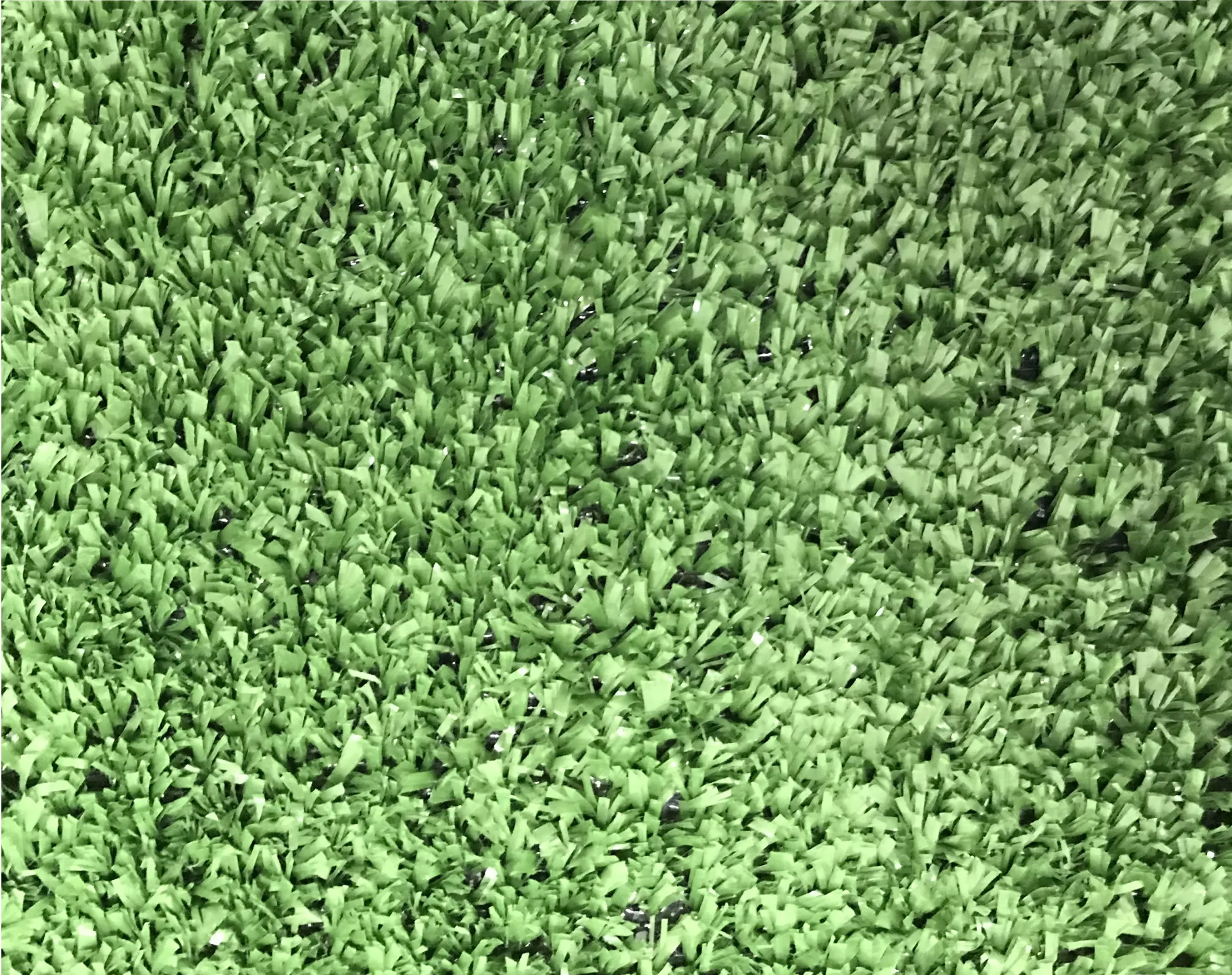 Boronia Artificial Grass (L)4m (W)2m (T)7mm 3 Boronia Artificial Grass (L)4m (W)2m (T)7mm