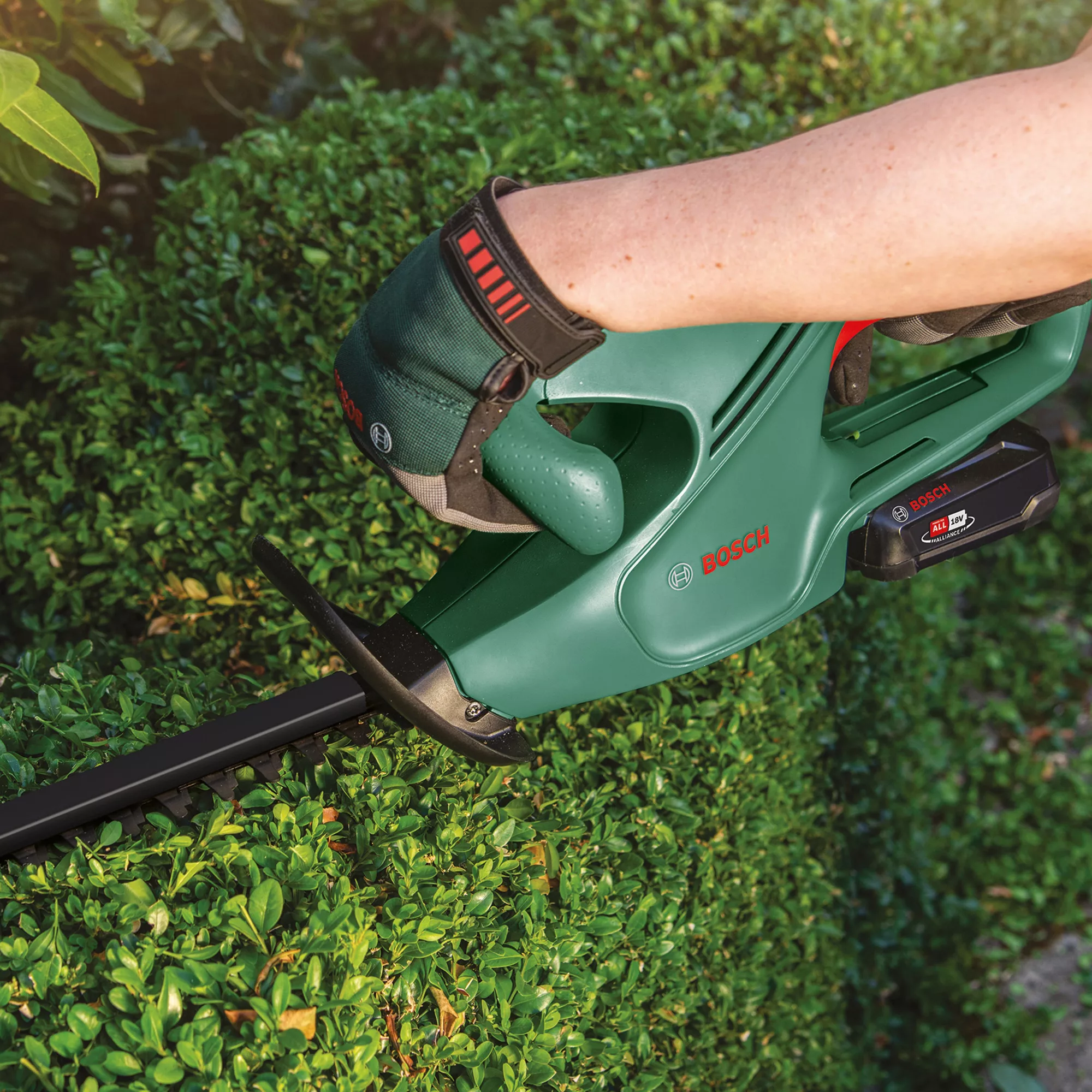 Bosch Power For All 18V 450mm EasyHedgeCut 18-45 Cordless Hedge Trimmer 5 Bosch Power For All 18V 450mm EasyHedgeCut 18-45 Cordless Hedge Trimmer - Image 3