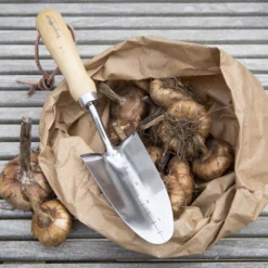 Burgon & Ball RHS Transplanter 7 Burgon & Ball RHS Transplanter -Hozelock Shop burgon ball rhs transplanter5019360008415 01i bq