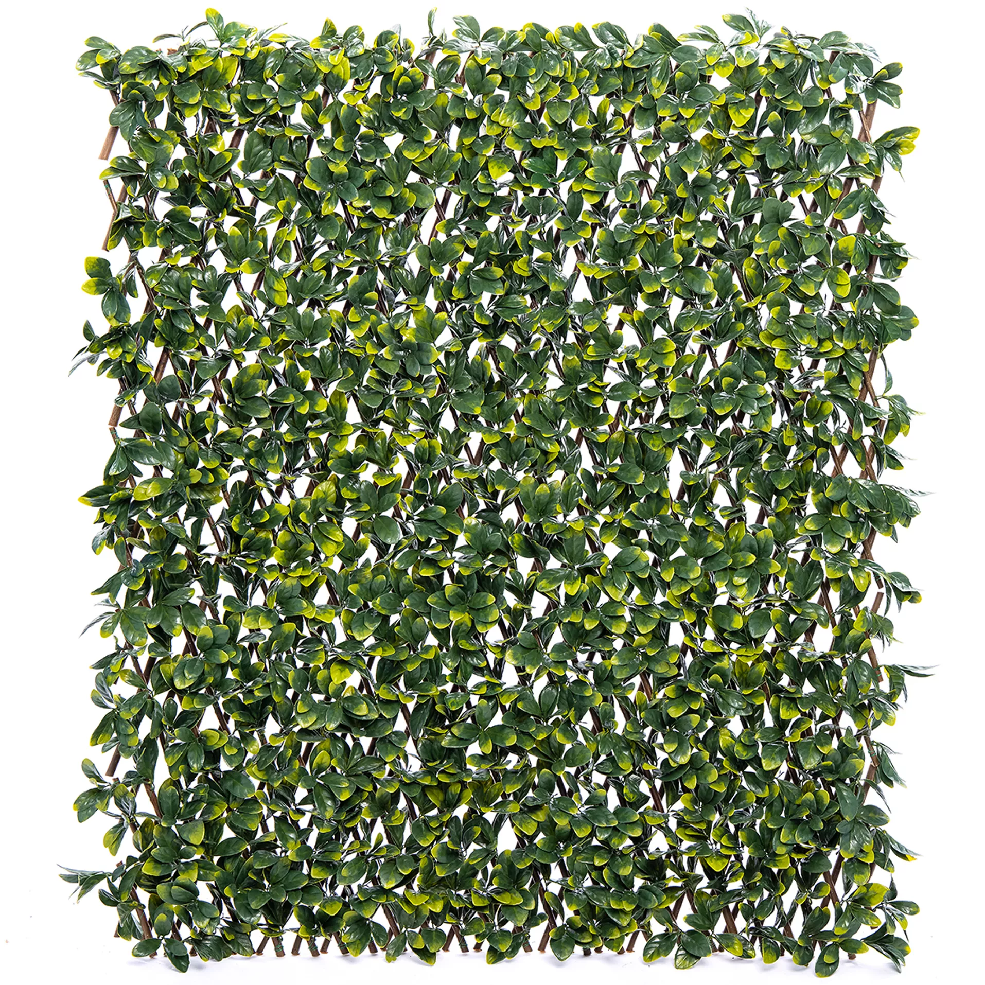 Klikstrom Extensible Fence With Bayberry Leaves Square Artificial Plant Wall, (H)1m (W)2m 3 Klikstrom Extensible Fence With Bayberry Leaves Square Artificial Plant Wall, (H)1m (W)2m