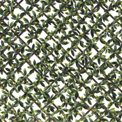 Klikstrom Extensible Fence With Bayberry Leaves Square Artificial Plant Wall, (H)1m (W)2m 12 Klikstrom Extensible Fence With Bayberry Leaves Square Artificial Plant Wall, (H)1m (W)2m -Hozelock Shop klikstrom extensible fence with bayberry leaves square artificial plant wall h 1m w 2m5059340671970 36c