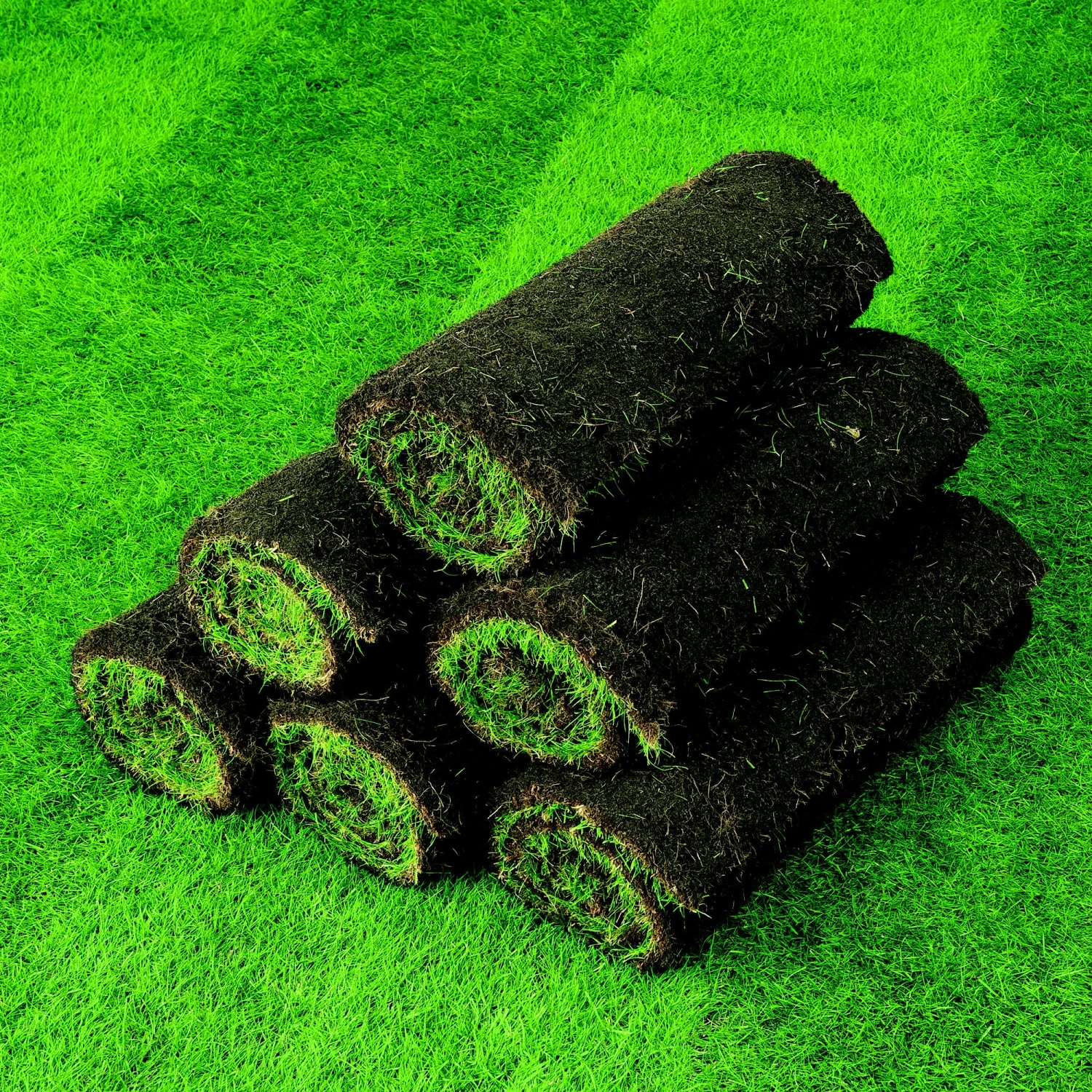 Lawn Turf, 17m² Pack 8 Lawn Turf, 17m² Pack - Image 6
