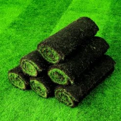 Lawn Turf, 50m² Pack -Hozelock Shop lawn turf 50m pack3663602195108 04i