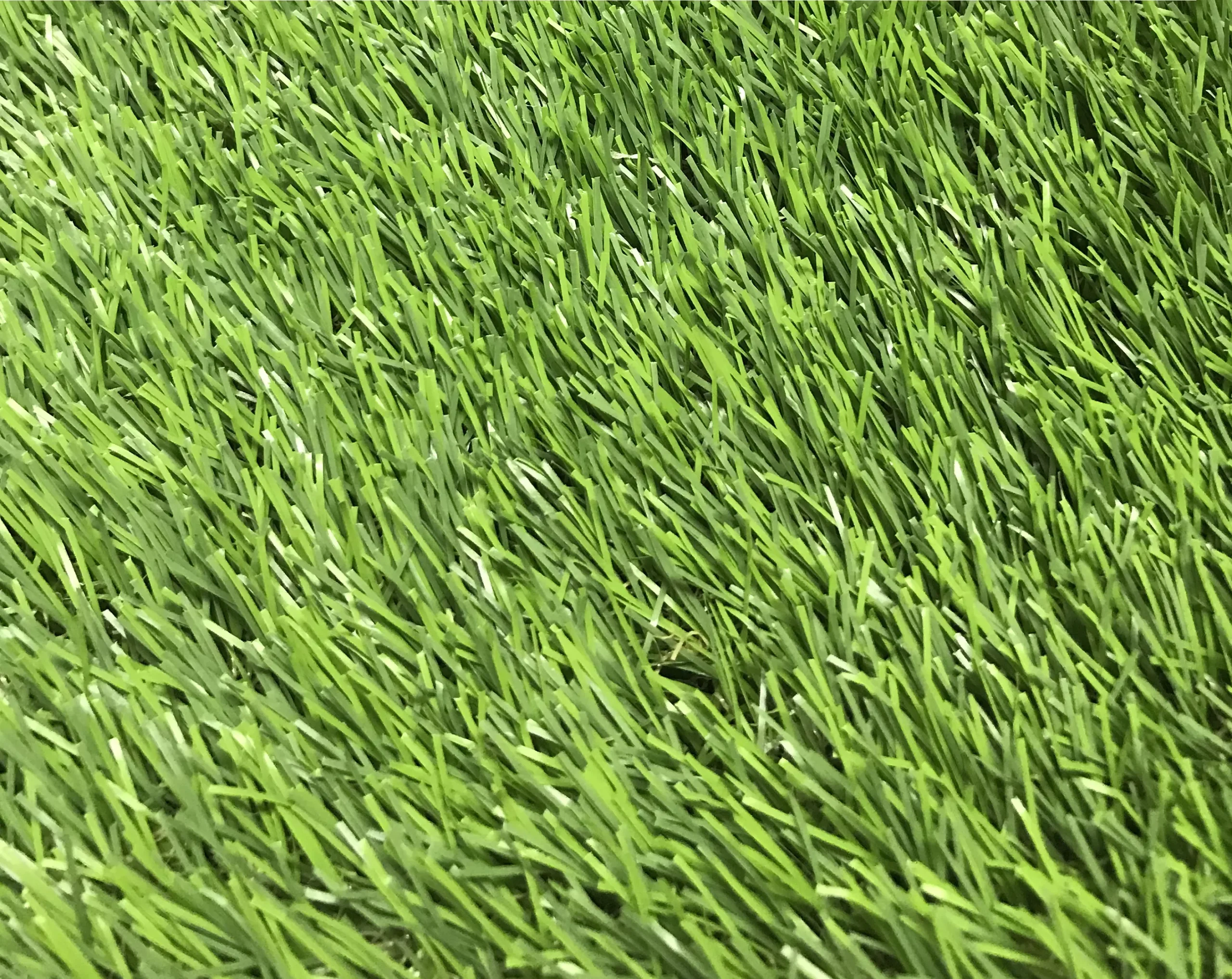Maple High Density Artificial Grass (L)4m (W)2m (T)39mm 5 Maple High Density Artificial Grass (L)4m (W)2m (T)39mm - Image 3